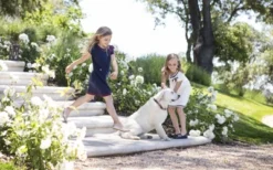 Hope & Henry Girls' Milano Tipped Sweater Dress, Toddler -Hope & Henry Sales GUEST 307ac593 35e8 4e78 a126 6e4495428faa