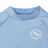 Hope & Henry Boys' Long Sleeve Swim Rashguard, Toddler
