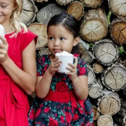 Hope & Henry Girls' Short Sleeve Ruffle Collar Party Dress With Bow, Toddler -Hope & Henry Sales GUEST 48426cf2 0010 417b a0e3 8aaa98de72ca 1