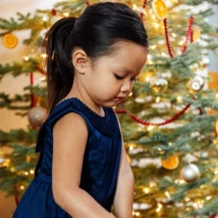 Hope & Henry Girls' Sleeveless Pleated Collar Sateen Party Dress, Toddler -Hope & Henry Sales GUEST 4ef5f917 6ec0 4fc2 8c46 fd447a388a28 1