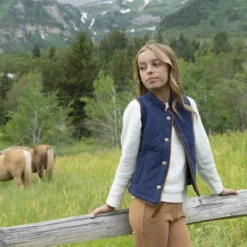 Hope & Henry Girls' Quilted Riding Vest, Toddler -Hope & Henry Sales GUEST 4f2bf9eb bc26 4889 b154 7cc168105a14