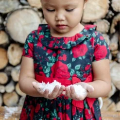 Hope & Henry Girls' Short Sleeve Ruffle Collar Party Dress With Bow, Toddler -Hope & Henry Sales GUEST 531bfc81 c833 4e7a 9b4c 861caf1c5311 1