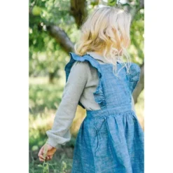 Hope & Henry Girls' Organic Cotton Short Sleeve Ruffle Jumper, Toddler -Hope & Henry Sales GUEST 69519b94 5ec8 43ce b532 733dcca6da9e